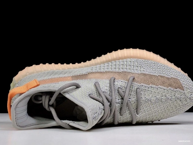 Form Boost True Yeezy EG7492 350 V2 Adidas 0820